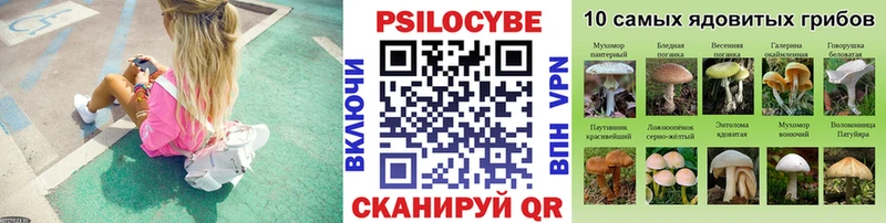 Галлюциногенные грибы мицелий  Завитинск 